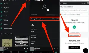 Jak anulować subskrypcję TIDAL w T-Mobile bez zbędnych problemów
