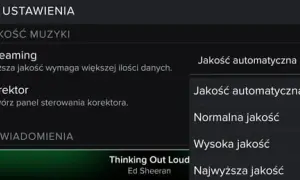 Ile internetu pobiera Spotify? Zaskakujące dane o zużyciu!